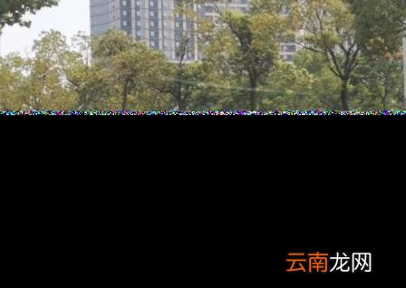 车险买这三个险就够了 车险如何计算
