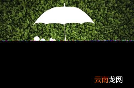 车险买这三个险就够了 车险如何计算