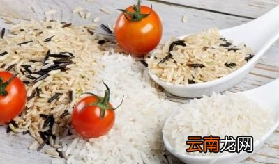 长期不吃主食我们会变得怎么样
