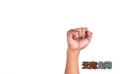 长期不吃主食我们会变得怎么样
