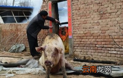 长期不吃主食人会变得怎么样