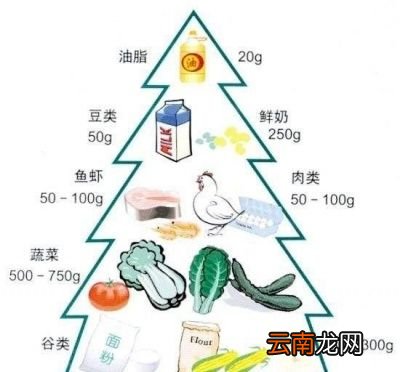 主食到底该怎样吃才科学呢