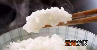 不吃主食到底能不能瘦