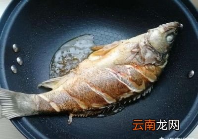 煎鱼热油还是冷油