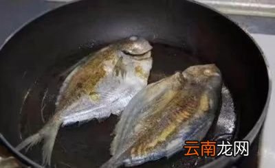 煎鱼用冷油还是热油比较好呢