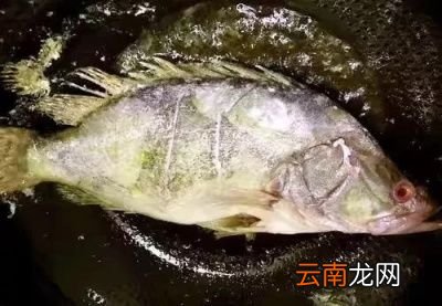 煎鱼用冷油还是热油比较好呢