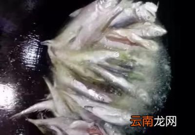 煎鱼用冷油还是热油比较好呢