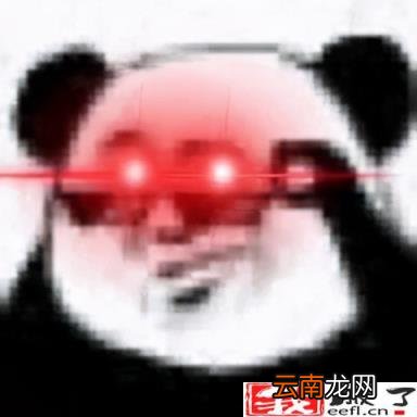 花呗免密支付怎么关闭 怎样取消花呗的免密支付功能