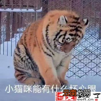ps套索工具怎么抠图 套索选好后怎么抠出来