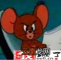 ps套索工具怎么抠图 套索选好后怎么抠出来