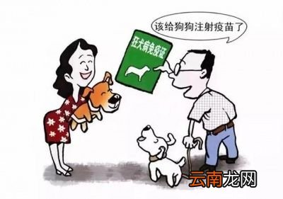 被疯狗咬到打狂犬疫苗有用吗