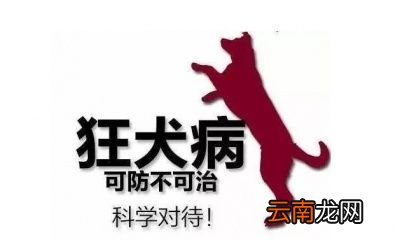 被疯狗咬到打狂犬疫苗有用吗
