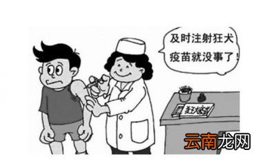 被疯狗咬到打狂犬疫苗有用吗