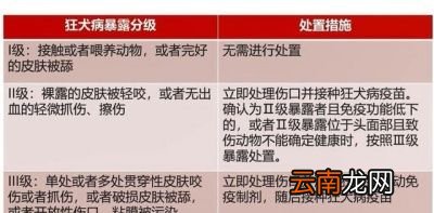 被疯狗咬到打狂犬疫苗有用吗
