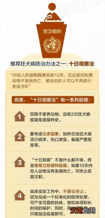 被打过疫苗的狗咬伤后是否需要接种疫苗