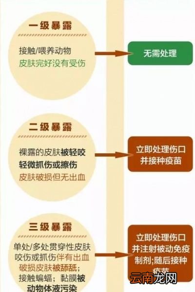 被打过疫苗的狗咬伤后是否需要接种疫苗