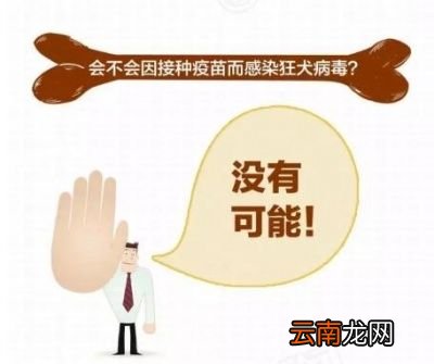 被打过疫苗的狗咬伤后是否需要接种疫苗