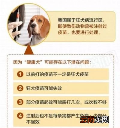 被打过疫苗的狗咬伤后是否需要接种疫苗