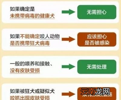 被打过疫苗的狗咬伤后是否需要接种疫苗