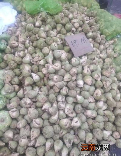 芥菜疙瘩怎么腌制