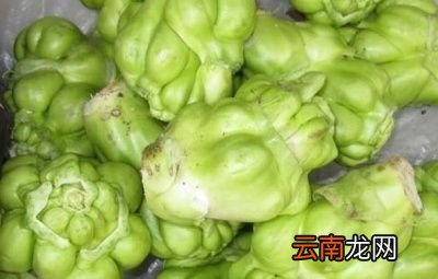 芥菜疙瘩的快速腌制方法二