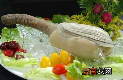 但是象拔蚌真的补肾壮阳吗