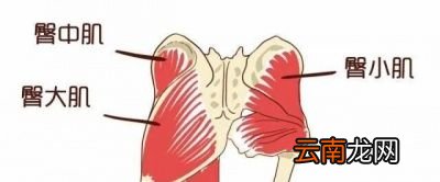 深蹲常见的细节有哪些