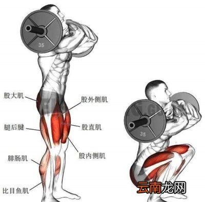 深蹲常见的细节有哪些