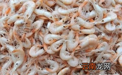 虾皮补钙靠谱吗