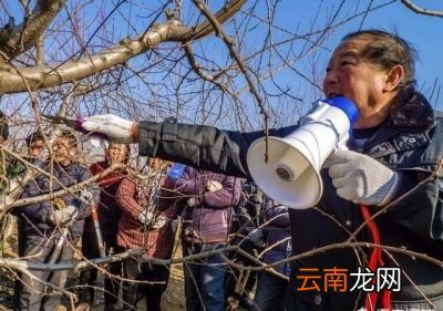 果树冬剪的好处