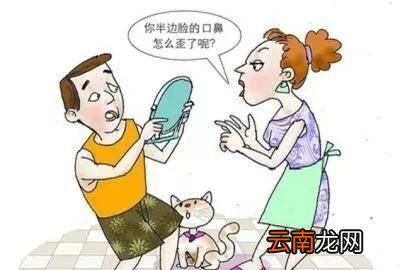 哪些食物中含有叶酸