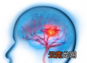 哪些食物含有叶酸呢
