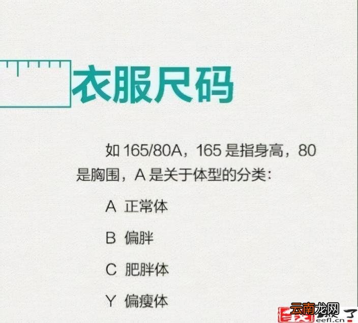 女士裤子尺码对照表图 裤子尺码对照表