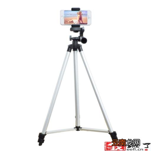 卖什么年货最赚钱 过年卖什么干货最挣钱