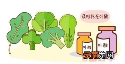哪些食物中富含叶酸呢