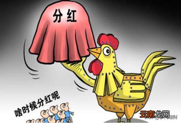 股票分红前买入划算吗 股票分红什么时候到账