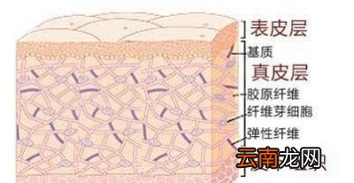"化妆"为什么一定要涂防晒隔离产品