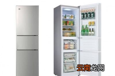 在电冰箱内存放多少食物才能不费电呢