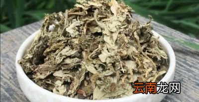 为什么要把艾草称为三年老艾