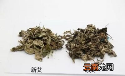 这艾草什么时候采收比较好呢