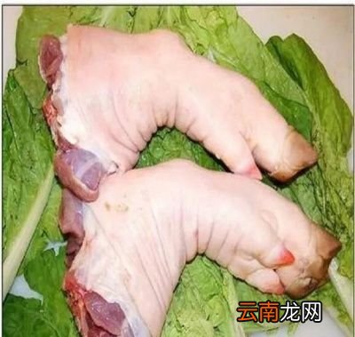猪前蹄和后蹄口感上有什么区别