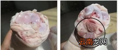 猪前蹄和后蹄口感上有什么区别