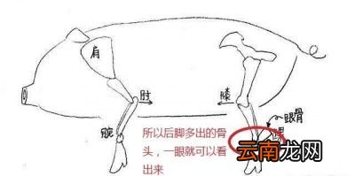 吃的时候有什么区别