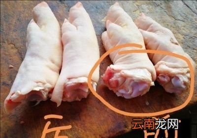 怎么区分猪蹄的前蹄和后蹄