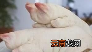 怎么区分猪蹄的前蹄和后蹄