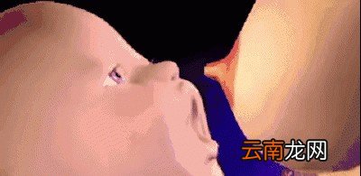 吃哪些食物能保障母乳充足