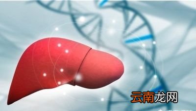 保护肝脏要经常吃以下几种食物