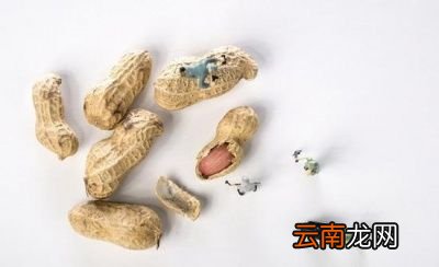 食物推荐胡萝卜动物肝脏鱼肝油等