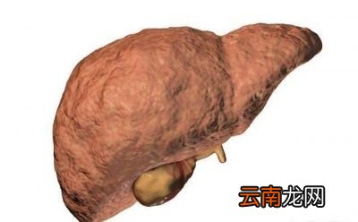 食物推荐胡萝卜动物肝脏鱼肝油等