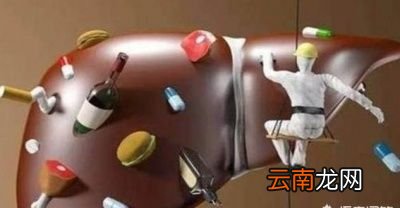 什么食物最伤肝养肝要怎么做